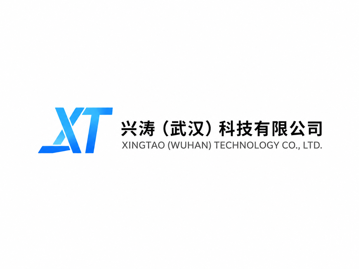 兴涛（武汉）科技有限公司 Logo